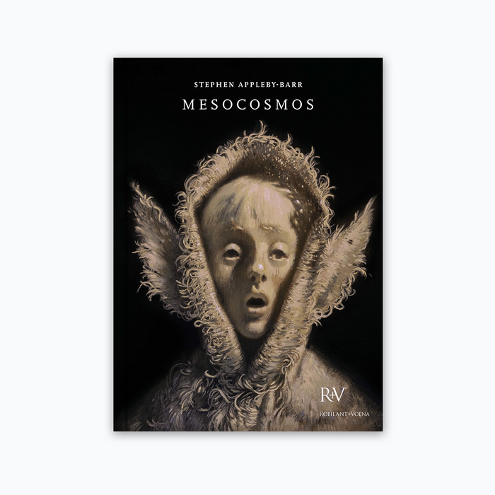 Mesocosmos